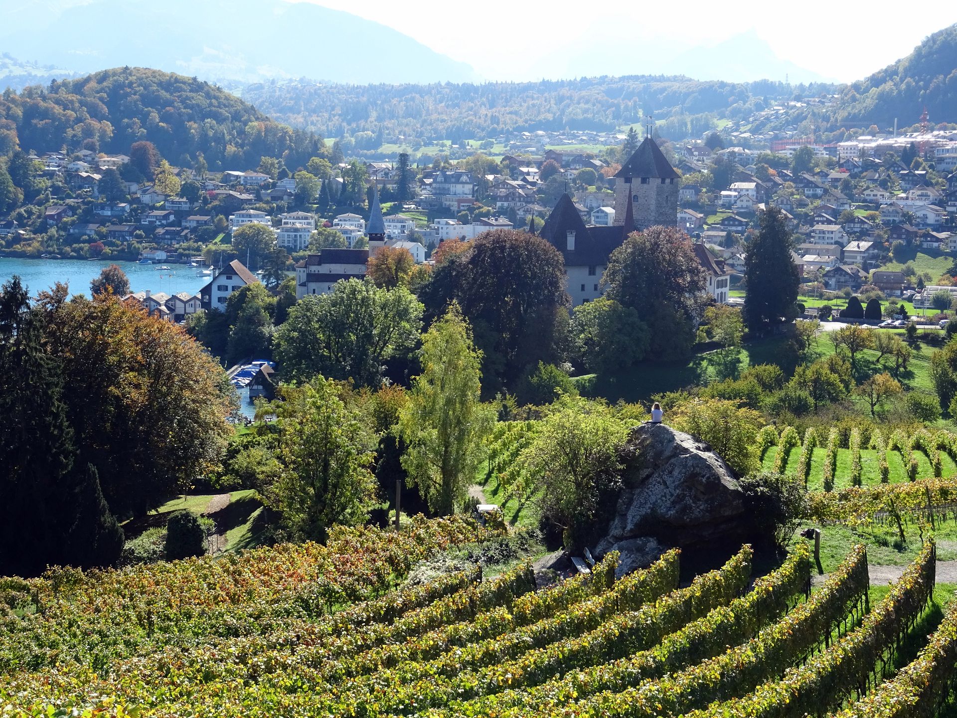 Spiez